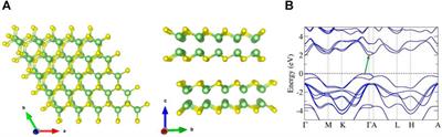 Ultrafast Nonlinear Optical Response and Carrier Dynamics in Layered Gallium Sulfide (GaS) Single-Crystalline Thin Films